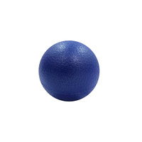 Pelota de Juego de 20 cm, Color y Logotipo Personalizados, Material de PVC Sin Ftalatos, 200 g, Uso Interior/Exterior, Marca OEM