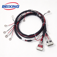 Harnais de câblage complet personnalisé BeiXing avec âme en cuivre et isolation PVC/Nylon, indice de protection IP67, pour automobiles et motocyclettes