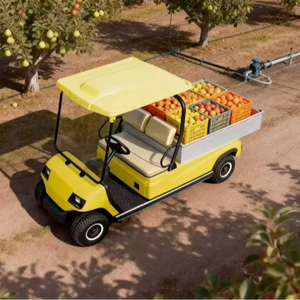 Nouvelle voiturette de golf A2.H8 à deux places, à une rangée, ouverte, pour le transport de marchandises, adaptée aux travaux agricoles ruraux, en ferme et en <span class=keywords><strong>plantation</strong></span>. - Product Image 3