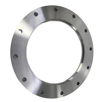 Bride plate en acier au carbone de qualité industrielle DN15-4000 polie Vizent pour soudage