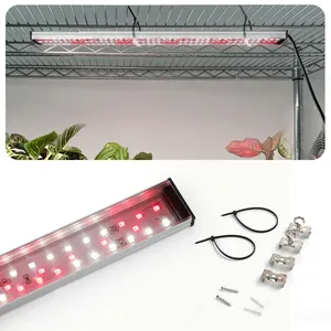 Contrôleur intelligent 660 nm led plante pousse bande lumineuse spectre complet pour serre et hydroponique