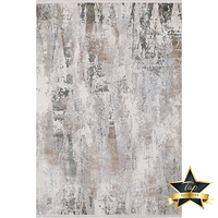 Tapis Dsermer nordique moderne gris, grand, luxueux, en polyester tufté, fabriqué à la machine, résistant aux taches, adapté aux animaux domestiques, pour la maison, le salon
