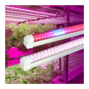 Double SMD2835 Leds Power 18W 28W 36W 48W Full Spectrum LED T8 Tube Lighting For Vertical Farming Growth