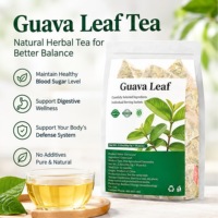 Teh Daun Jambu Biji Murni, Teh Daun Jambu Biji Kering, Kantong Teh Segitiga 2g X30, Label Pribadi OEM Grosir