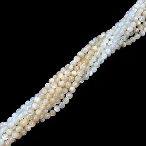 shell beads manufacture shell bead strings 2mm beads for jewelry making