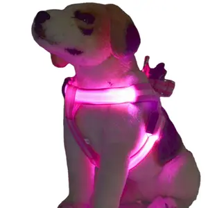 Harnais personnalisable pour la sécurité de nuit, avec LED réglable, Rechargeable par USB, scintillant, pour chien, 2021, vente en gros