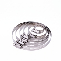 Abrazadera de manguera americana de acero inoxidable 201 perforada para equipos agrícolas de riego, sujetador de tubo, clip para bomba de agua e invernadero