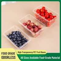 Op maat gemaakte blisterverpakkingen voor fruitdozen, PET transparante blistertrays voor vers fruit, supermarkt presentatie