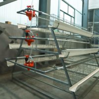Fantastique une cage de poulet de couche de type équipement de ferme avicole de bonne qualité