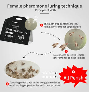 Pièges Offres Spéciales de phéromone de mite à semi-conducteurs efficaces pour la lutte antiparasitaire des frelons domestiques - Product Image 4