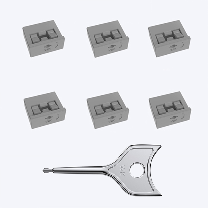 Grey(100 locks plus 2 keys)
