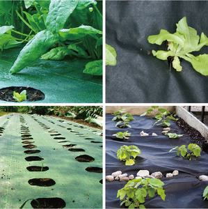เสื่อควบคุมวัชพืชที่เชื่อถือได้สำหรับสวนเสื่อวัชพืชผ้าปูวัชพืชตาข่ายพลาสติกสำหรับการเกษตรติดตั้งง่ายทนต่อวัชพืช - Product Image 6