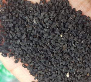 1kg semi di <span class=keywords><strong>Nigella</strong></span> glandulifera crudi secchi di alta qualità per spezie - Product Image 4