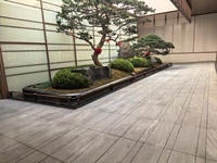 TY Brand Factory Direct Modern Natural Eco-Friendly Grey White Granite Small Slab Brushed Shandong Total Solution Villa Park