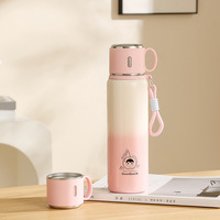 Bouteille d'eau isotherme en acier inoxydable personnalisable pour la randonnée, la gym, le travail, les voyages, l'école et la voiture, gobelet à changement de couleur pour café – Vente en gros