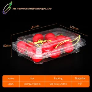 Custom Clear Transparent Food Container PET Disposable Plastic Clamshell Vegetable Fruit Packaging Box For Grape Lychee Cherry