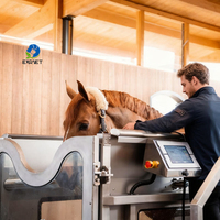 Tapis roulant électrique pour chevaux EUR VET à vitesse réglable avec baignoire en acier inoxydable, équipement vétérinaire, tapis roulant sous-marin pour chevaux