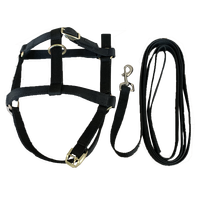 Produits équins Harnais pour chevaux Bride Halter Endurance Horse Bridle Halter Premium Quality