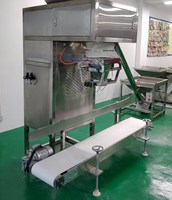 Machine d'emballage horizontale automatique pour bagels, hamburgers et autres aliments, équipement d'emballage avec système de convoyage pour sacs, films et pochettes