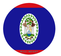 Sous-verres pour porte-gobelets de voiture avec drapeau de la Barbade, base antidérapante, lot de 2, accessoires intérieurs de voiture pour femmes et hommes