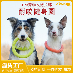 Jouet pour chien en forme d'anneau, en mousse TPR, résistant aux morsures, pour l'entraînement des chiens de petite et moyenne taille, jeu en plein air - Product Image 5