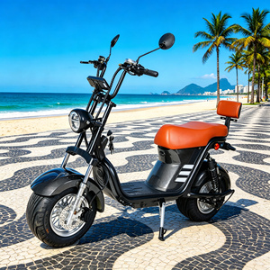 Scooter 2026 de 1000W con Neumáticos Anchos, Batería de Litio, Suspensión Impermeable, Alcance de 40-60km, Velocidad de 25km/h - Product Image 1