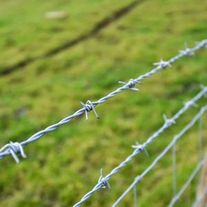 Bulk Korting Prikkeldraad Prijs Meter Prikkeldraad Cubaanse Link Prikkeldraad Hek Voor Boerderij - Product Image 5