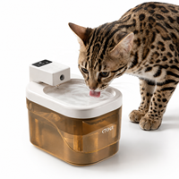 Fontaine à eau automatique silencieuse pour chats et chiens, sans fil, avec détecteur de mouvement, moderne, luxueuse, alimentée par batterie, filtration automatique