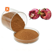 Poudre de racine de Maca rouge de haute qualité, vente chaude, directement de l'usine, extrait de racine de Maca rouge en poudre