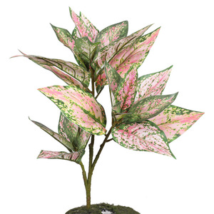 Hojas de Pothos Coloridas Qihao, Plantas Artificiales de Alta Simulación para Decoración de Interiores - Product Image 3