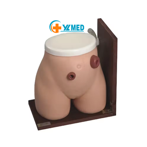 Mô hình giải phẫu y khoa mô phỏng hậu môn nhân tạo bằng nhựa PVC chất lượng cao, kích thước người thật, dùng cho việc dạy nghề điều dưỡng. - Product Image 2