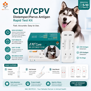 Kit de <span class=keywords><strong>test</strong></span> de <span class=keywords><strong>grossesse</strong></span> rapide RLN canin jetable, <span class=keywords><strong>test</strong></span> d'antigène de relaxine pour chien, usage vétérinaire pour la reproduction - Product Image 4
