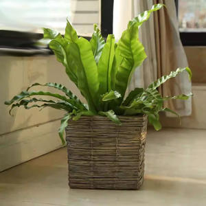 Pot de fleurs tissé en saule avec intérieur en plastique, style rétro tissé en rotin anti-<span class=keywords><strong>goutte</strong></span>, déco <span class=keywords><strong>plante</strong></span> en pot pour balcon de cour - Product Image 2