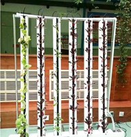 Étagère d'affichage de croissance de planteuse de système hydroponique de plantation verticale de tuyau de PVC de haute qualité