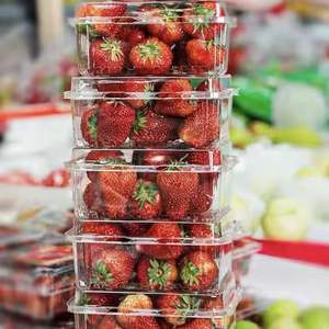 Tek kullanımlık şeffaf PET plastik 500g uzun meyve sebze kapaklı konteynerler/kutuları süpermarket için çilek Punnet ambalaj - Product Image 1