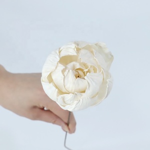 Flores Secas de Peonía <span class=keywords><strong>Preservadas</strong></span> en Madera Sola Multicolor, Venta Especial en Instagram, <span class=keywords><strong>Tallo</strong></span> Largo, Decoración para el Hogar, para el Día de la Madre y Pascua - Product Image 2
