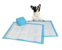 Bordures anti-fuites, support en PE protecteur, anti-éclaboussures, matelassé, super absorbant, 5 couches, biodégradable, jetable, pour chien d'intérieur
