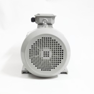 Motores de CA Serie YE Y2 315L2-6 de 2 <span class=keywords><strong>HP</strong></span> a 75 <span class=keywords><strong>HP</strong></span>, 750 RPM - 3000 RPM, 220V, 50Hz, Motores de Inducción Trifásicos - Product Image 5