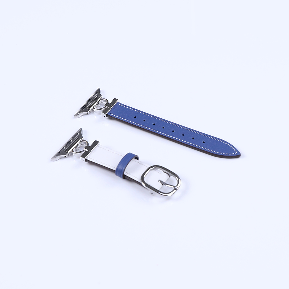 สีฟ้า + สีขาว