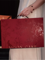 Nouvelle boîte à desserts, cadeau du Nouvel An, boîte-cadeau de gâteaux de lune de style chinois, carton de rangement portable pour le Festival de la Mi-Automne
