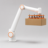 Lengan Robot Industri 6-Axis FR30 85kg Cobot Pengemas Pallet 1403mm dengan Gripper Hisap Bersertifikasi CE Ukuran Pallet EU IP54 Tahan Air Kecepatan 2m/s