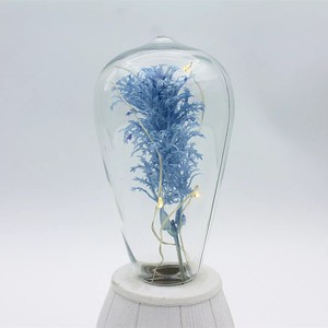 Lampe LED en verre en forme de dôme avec gazon artificiel bleu et base en ciment, veilleuse décorative pour la maison et Noël - Product Image 2
