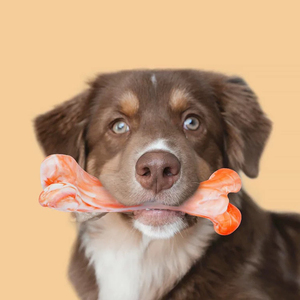 Giocattoli da masticare in gomma TPR eco-friendly e durevole per uso quotidiano Casual preferiti per il relax dei cani pelosi - Product Image 6