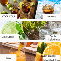 Distributeur d'eau personnalisé pour boissons gazeuses Homeuse Soda Sparkling Maker Machine