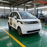 Mini-bus électrique fermé 4 places pour bébé, 4 roues, mobilité quotidienne adulte, batterie Li 200Ah, autonomie 300km, vitesse 55km/h