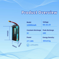 Lithiumfreie Anodenbatterie 450Wh/kg 12000mAh 6S/8S/12S/14S/18S/24S/28S 3,85V Festkörperbatterie für Drohnen/UAV
