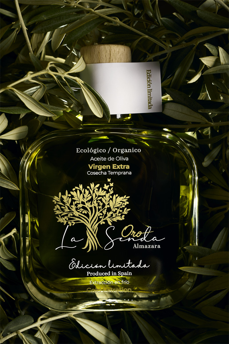 entre-as-folhagens-de-oliveira-um-vidro-de-azeite-organico