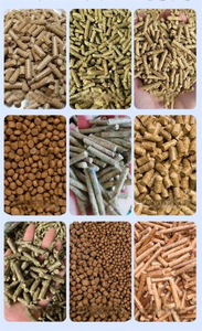 動物用沈降性ペレット飼料製造機 豚 ウサギ 鶏 アヒル 飼料加工機 - Product Image 4