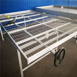 Factory Price Waterbed Seedbed Nursery Bed Galvanized Welded Wire Mesh Steel Seedbed/seed Plot Movable Rolling Bench