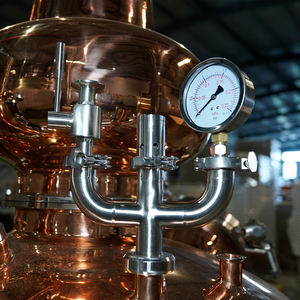 Colonne d'<span class=keywords><strong>alambic</strong></span> en <span class=keywords><strong>cuivre</strong></span> hybride artisanal de 300 <span class=keywords><strong>l</strong></span> à 1500 <span class=keywords><strong>l</strong></span> avec pot pour la production de whisky, de vodka, de gin et de brandy - Product Image 5